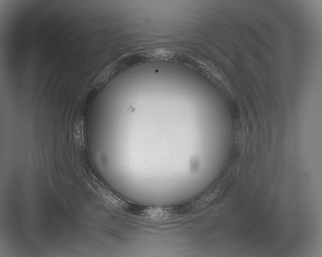 X0000082690425200702161729