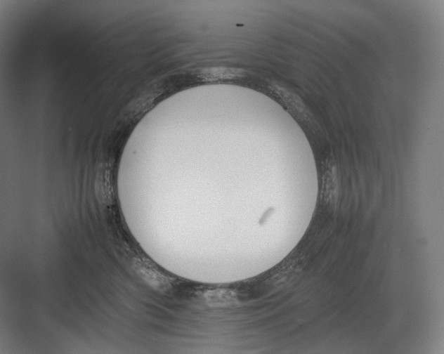 X0000082690426200702161729