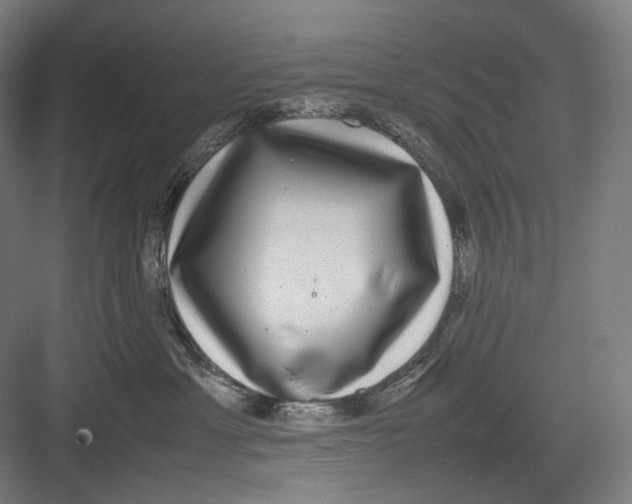 X0000082690429200702161729