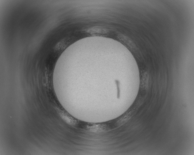 X0000082690430200702161729