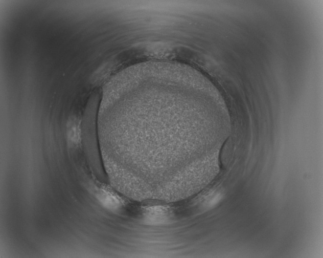 X0000082690432200702161729