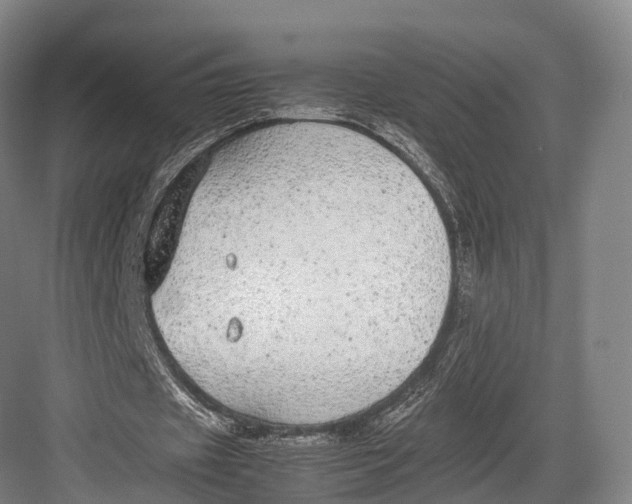 X0000082690433200702161728