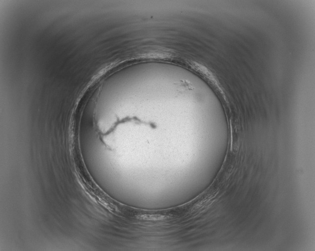 X0000082690435200702161728