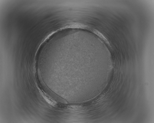 X0000082690436200702161728