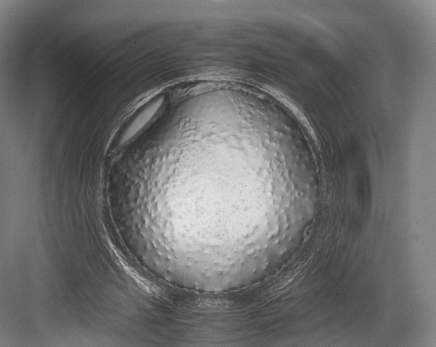 X0000082690437200702161728