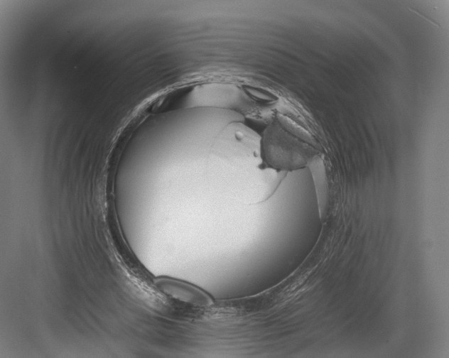 X0000082690438200702161728