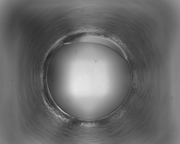 X0000082690440200702161728