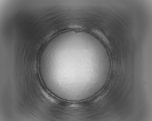 X0000082690441200702161728