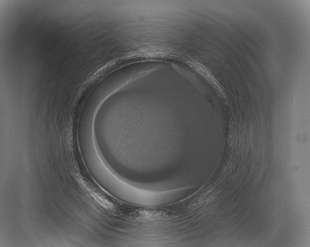 X0000082690442200702161728