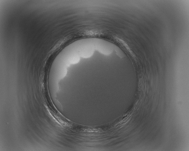 X0000082690443200702161728