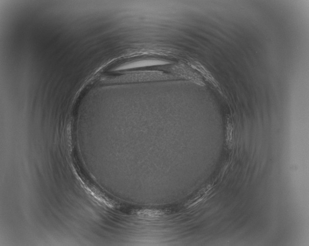 X0000082690444200702161728