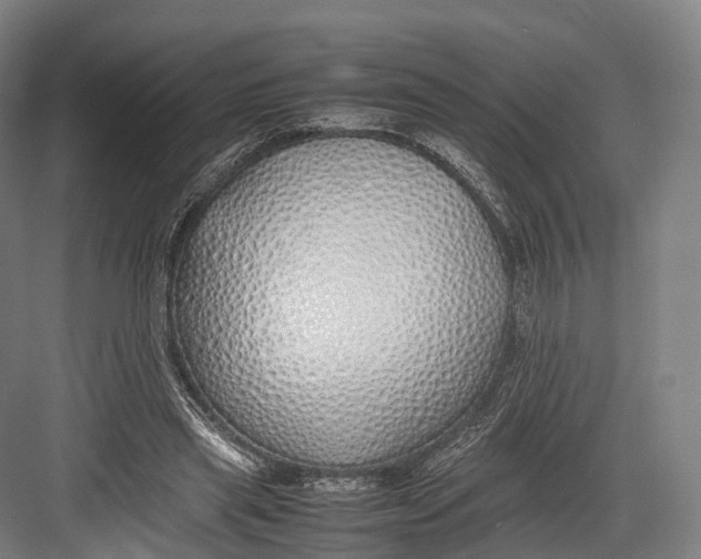 X0000082690445200702161728