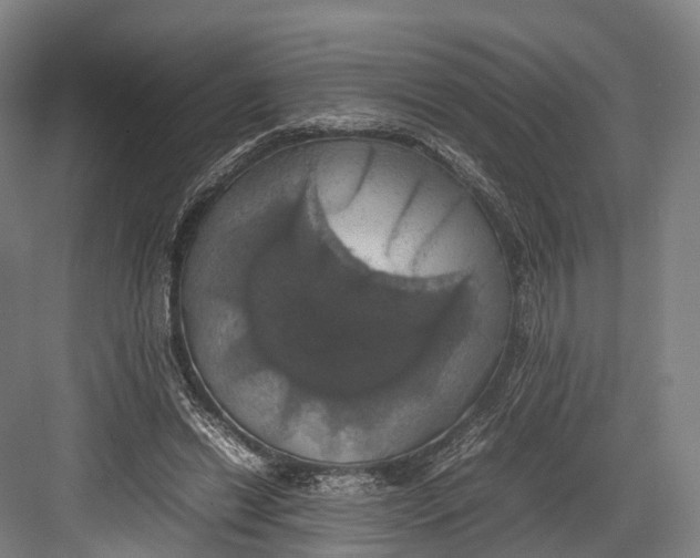 X0000082690446200702161728