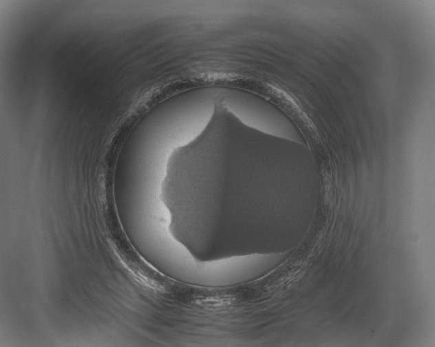 X0000082690447200702161728