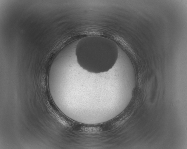 X0000082690449200702161728