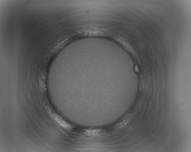 X0000082690450200702161728