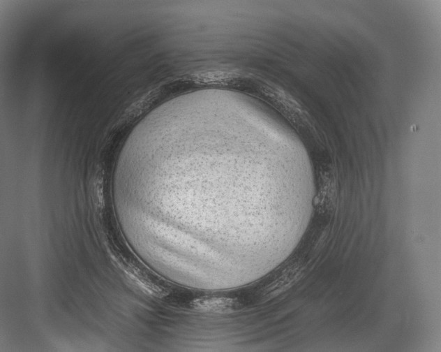 X0000082690452200702161728