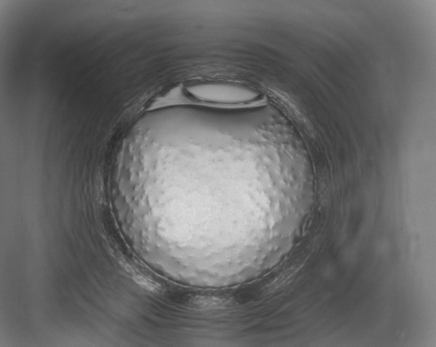 X0000082690453200702161728