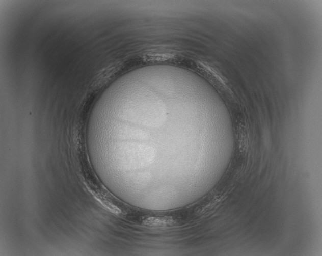 X0000082690455200702161728