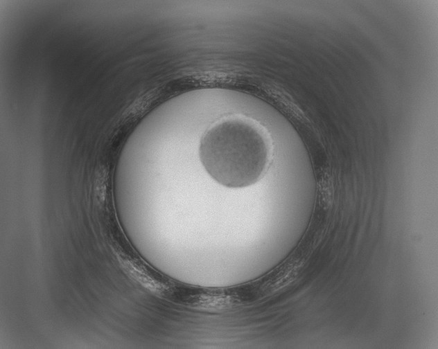 X0000082690458200702161728