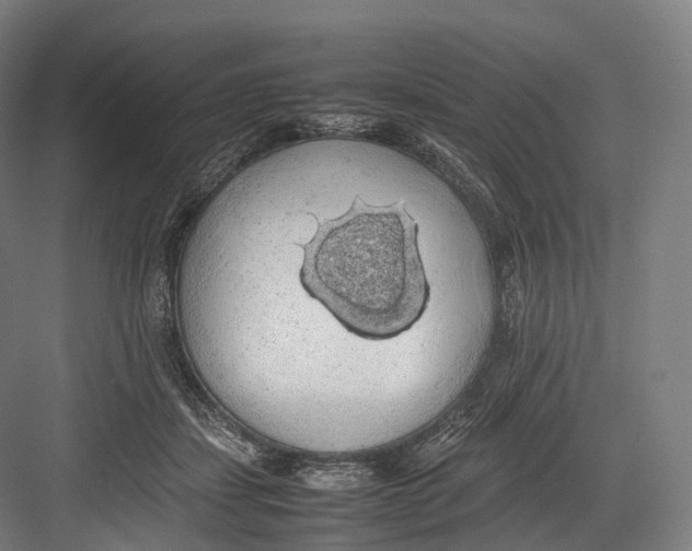 X0000082690459200702161728