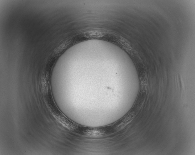 X0000082690460200702161728