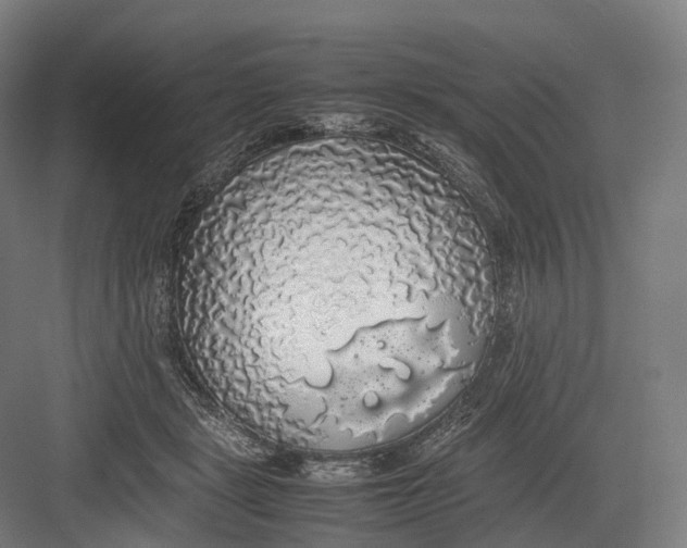 X0000082690461200702161728