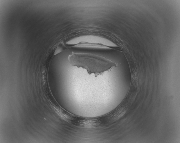 X0000082690462200702161728