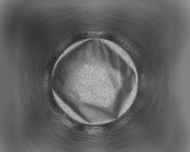 X0000082690463200702161728