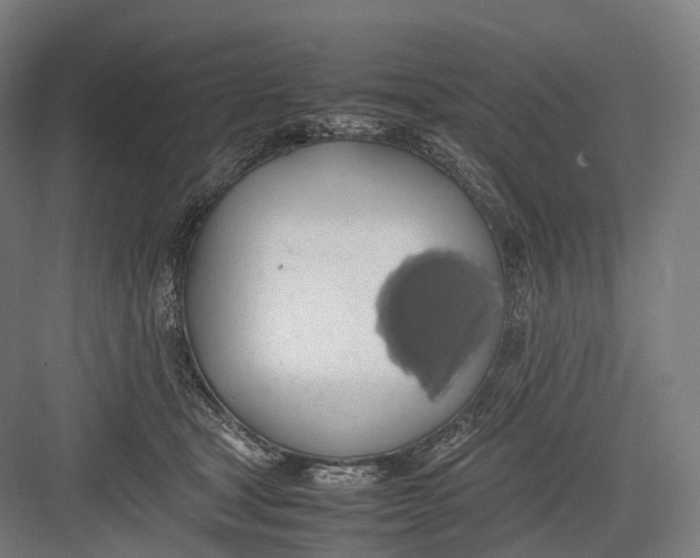 X0000082690465200702161728