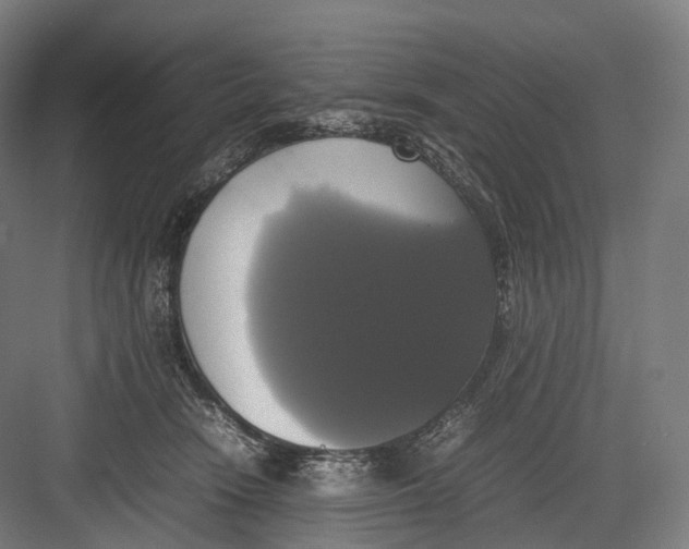 X0000082690466200702161728