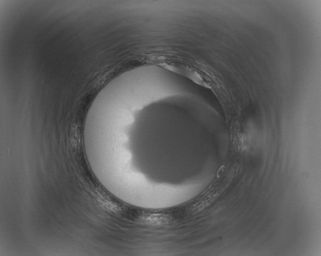 X0000082690467200702161728