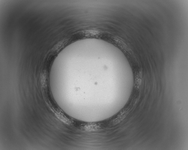 X0000082690468200702161728