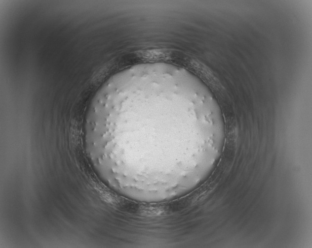 X0000082690469200702161728