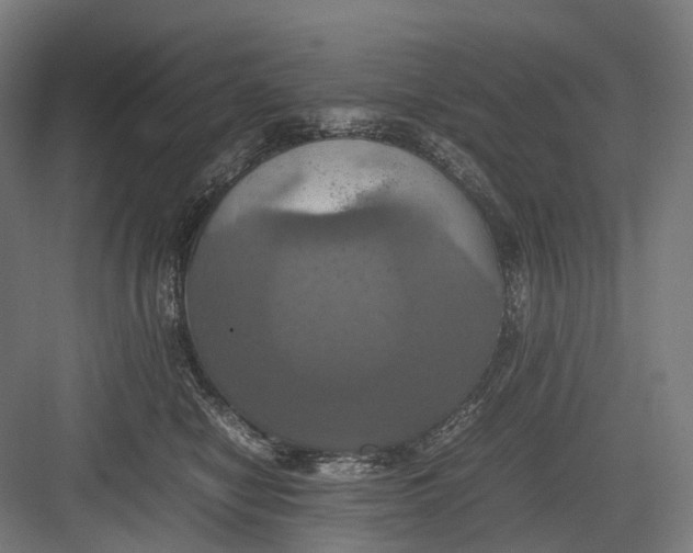 X0000082690470200702161728