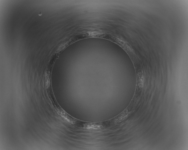 X0000082690471200702161729