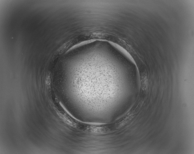 X0000082690472200702161729