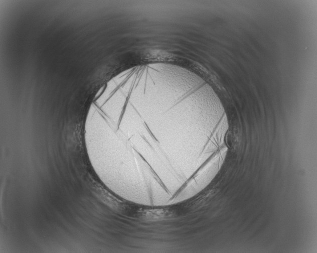 X0000082690473200702161729