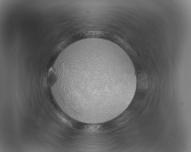 X0000082690474200702161729