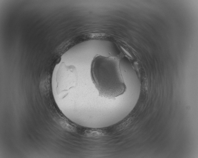 X0000082690475200702161729