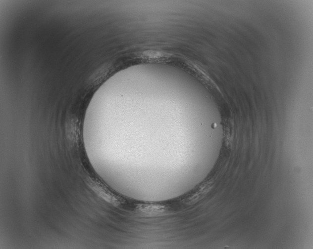 X0000082690476200702161729