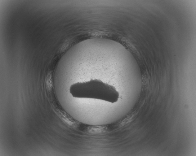 X0000082690479200702161729