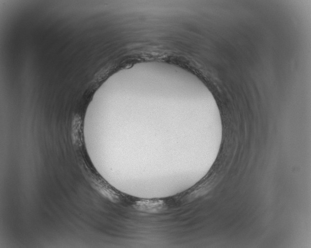 X0000082690480200702161729