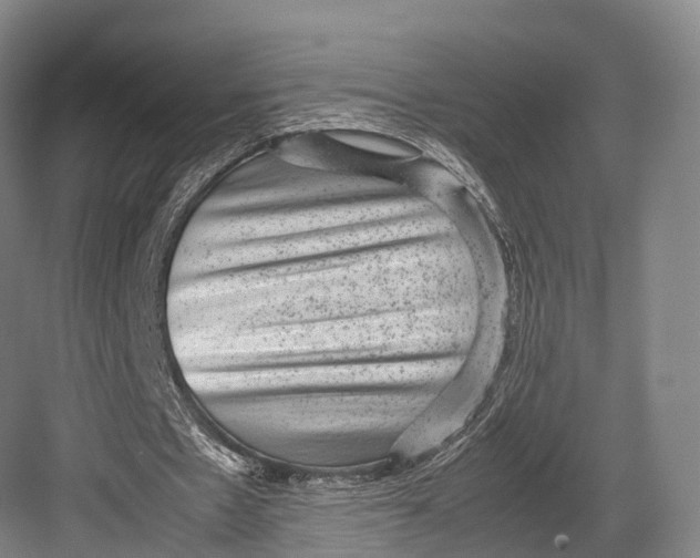 X0000082690481200702161728