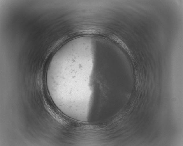 X0000082690482200702161728