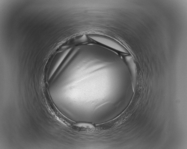 X0000082690485200702161728