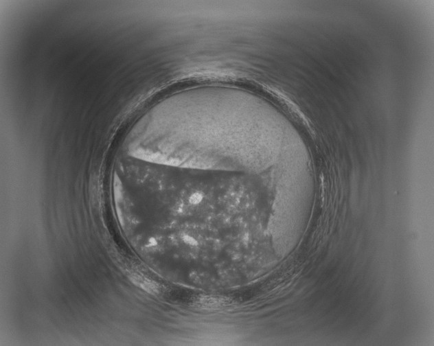 X0000082690487200702161728