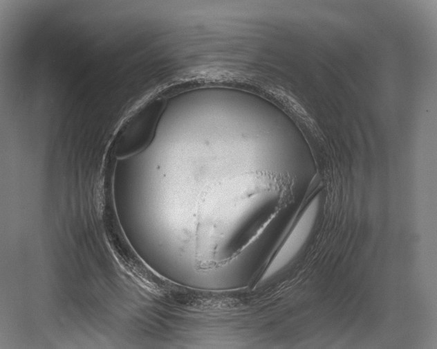 X0000082690488200702161728