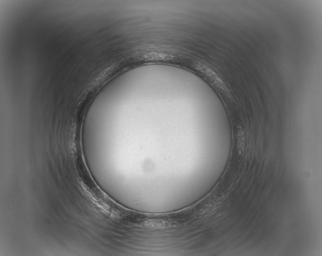 X0000082690490200702161728