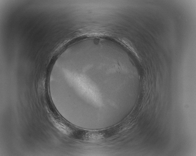 X0000082690491200702161728